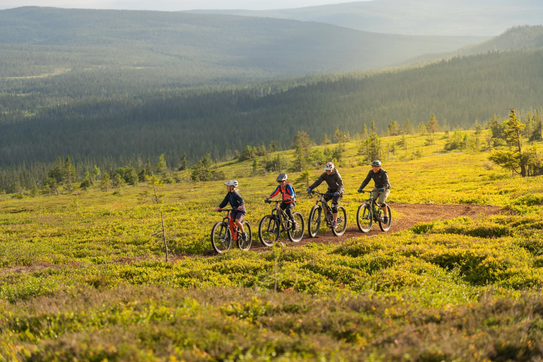 Biking in the Lågfjellet mountain - Trysil_Destinasjon Trysil .png