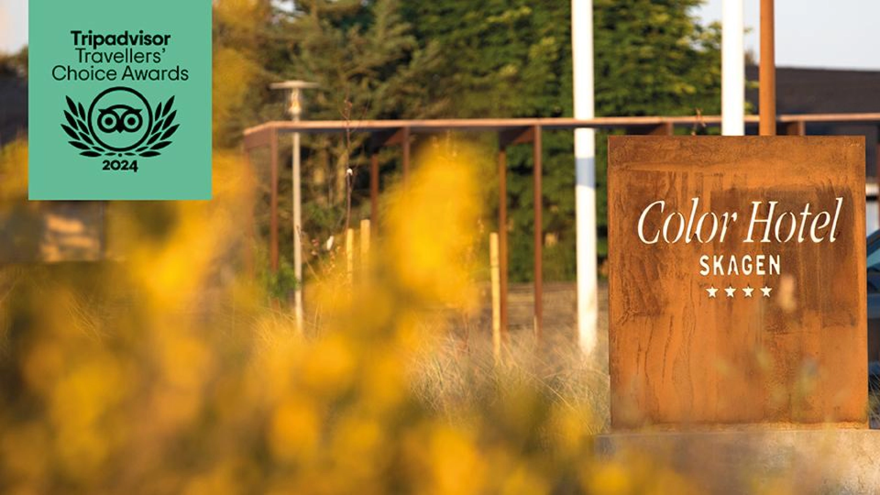 Color Hotel Skagen Tripadvisor.jpg