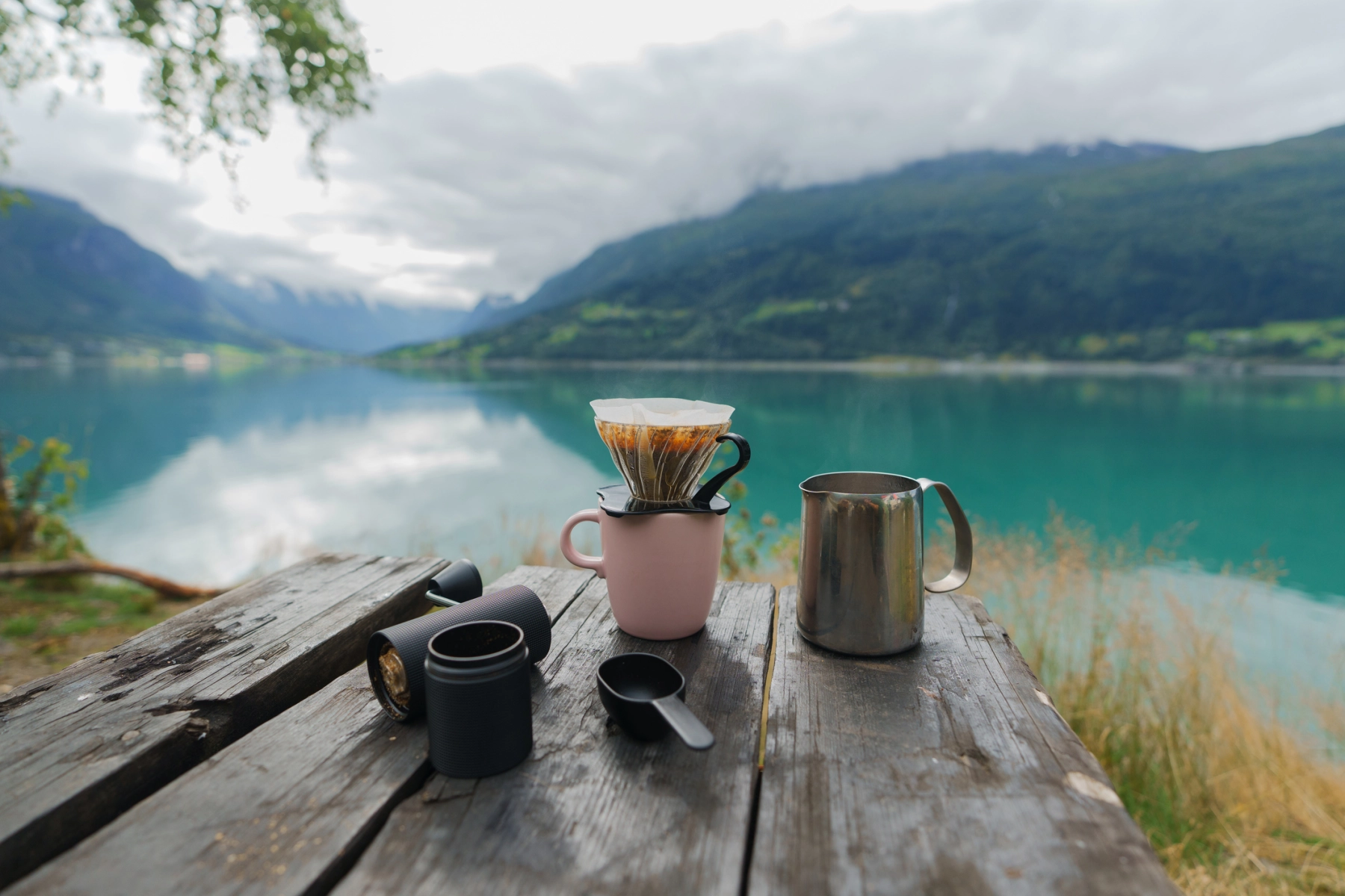 coffe in nature.jpg