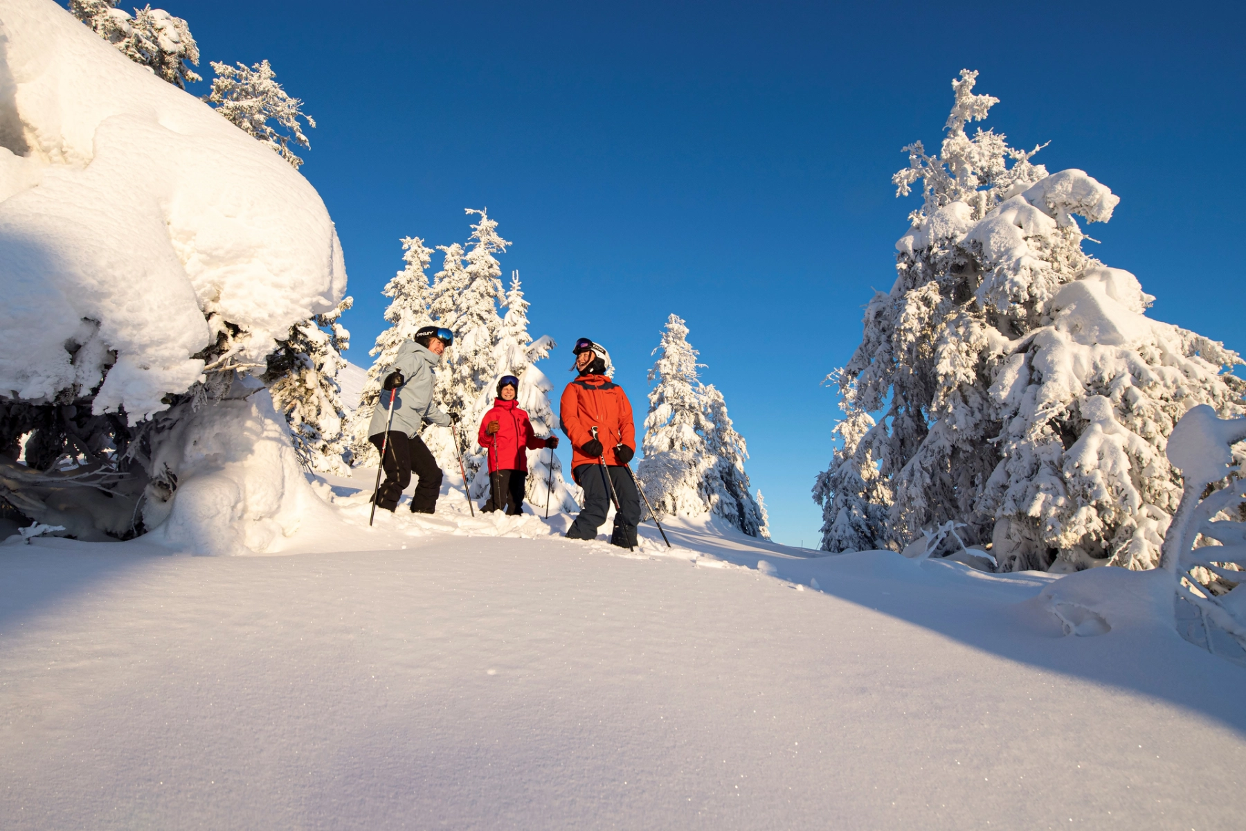 Family skiing in the mountains of Trysil_Ola Matsson – SkiStar.png