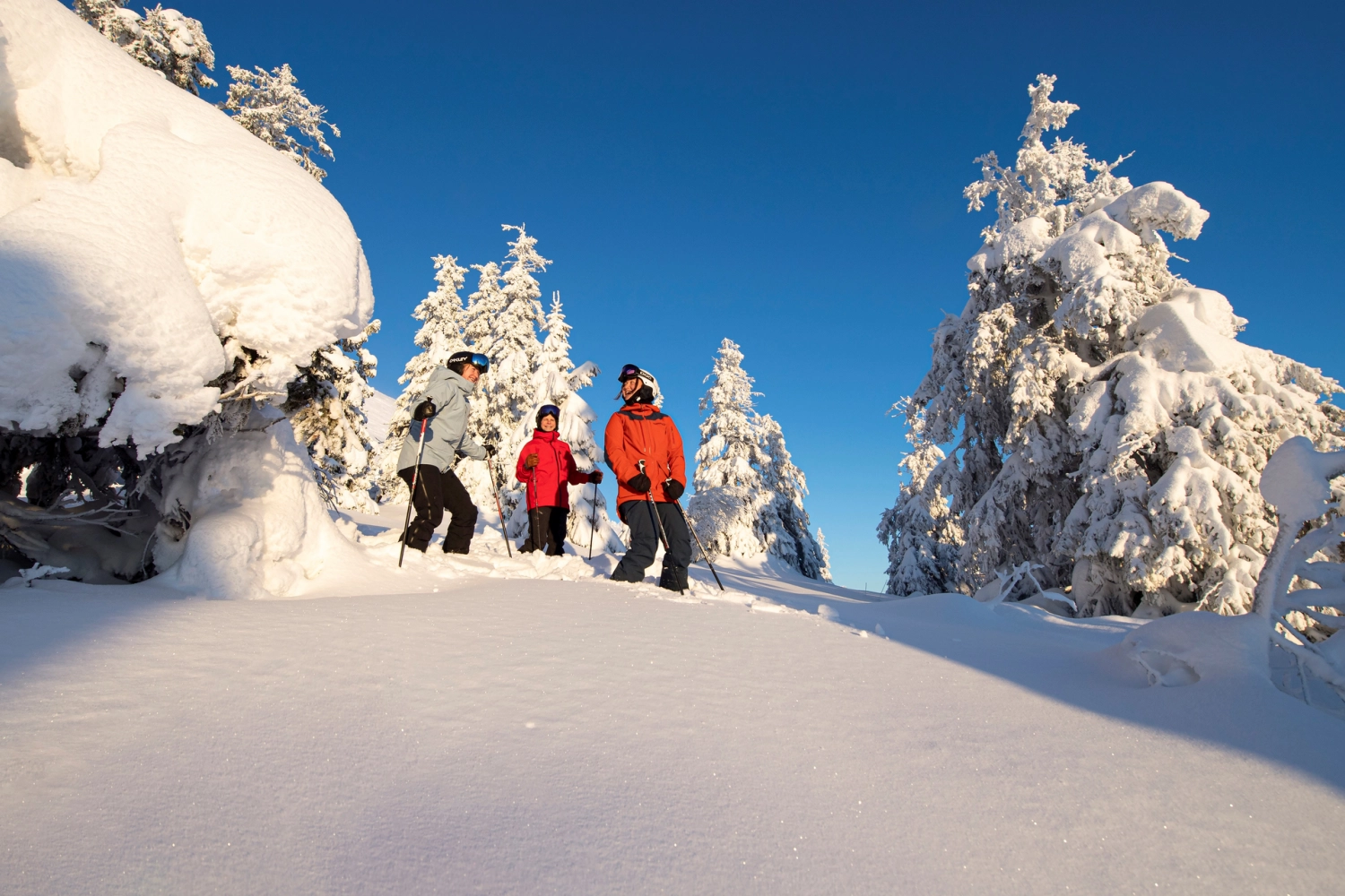 Family skiing in the mountains of Trysil_Ola Matsson – SkiStar.png