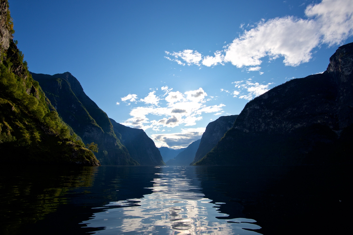 The UNESCO World Heritage protected Nærøyfjord_Øyvind Heen - fjords.com .png
